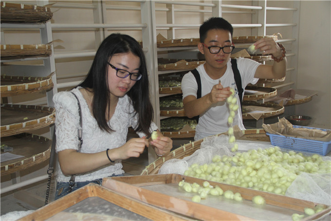 集團團委帶領青年新員工走進蘇豪蠶種基地