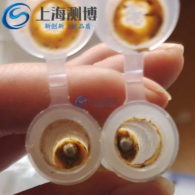 測博冷凍研磨儀對植物果實黑殼楠研磨實驗案例