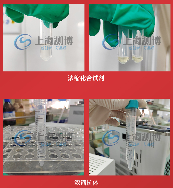 CBNSY-真空離心濃縮儀-測博_11