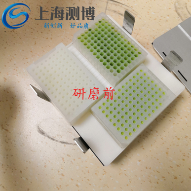 測博高通量研磨儀能否在轉基因水稻上大放異彩？