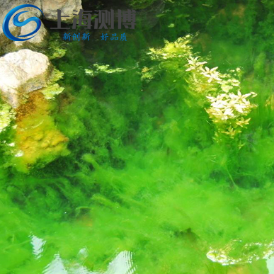 冷凍組織研磨儀能做哪些實驗？葉綠素藻類是什么？