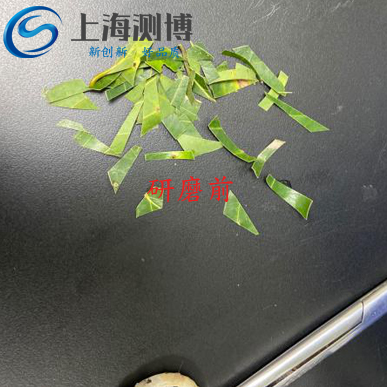 實驗研磨前